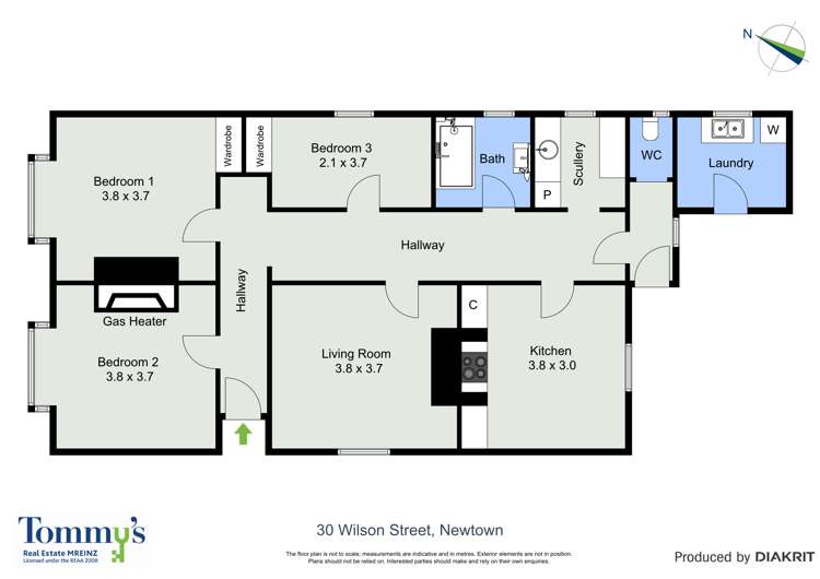 30 Wilson Street Newtown_10