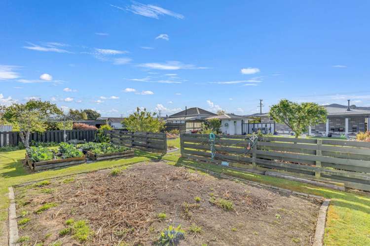 40 Ferry Road Spring Creek_25