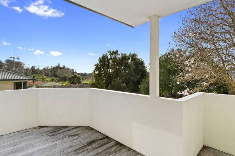 133 Carlton Street Bellevue_11