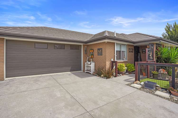 63 Mary Ellen Street Pegasus_1