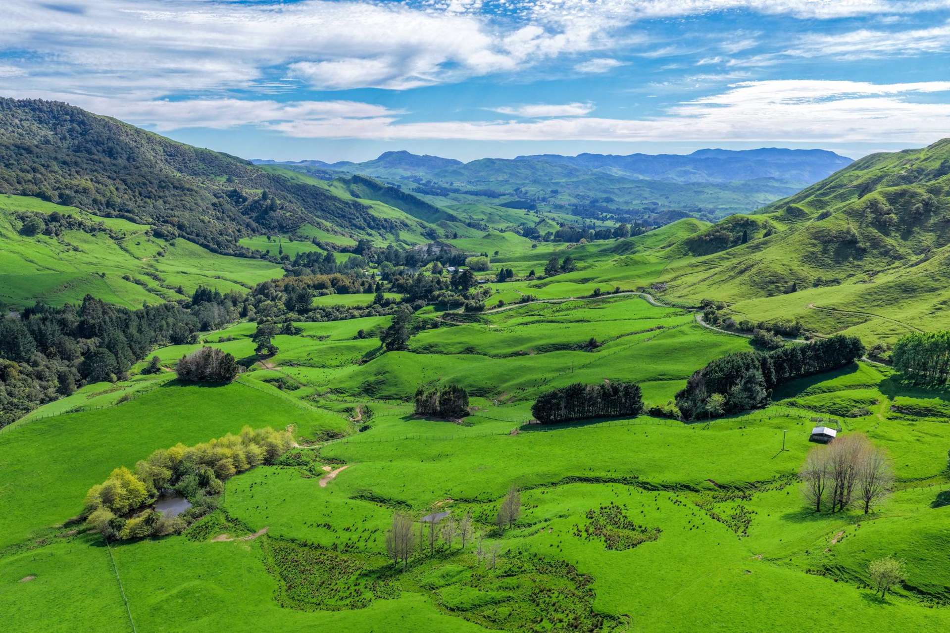 439 Rakauroa Road Matawai_0