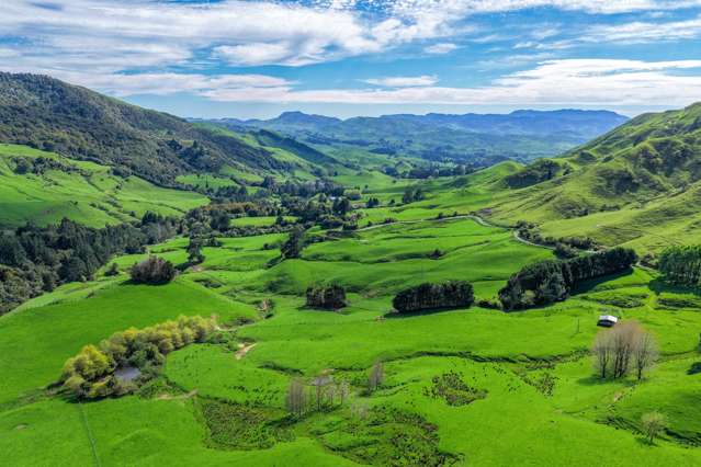 Elmore - 709ha high-performing dry stock farm