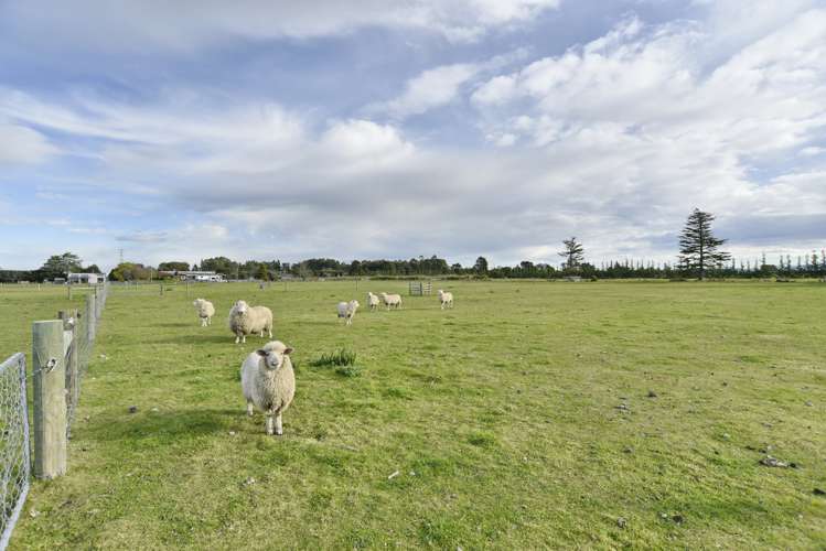 130 North Eyre Road Swannanoa_42