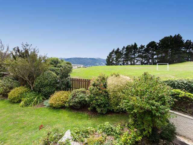 39 Mckerrow Street Shiel Hill_3