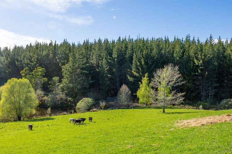 240 George Harvey Road Upper Moutere_29