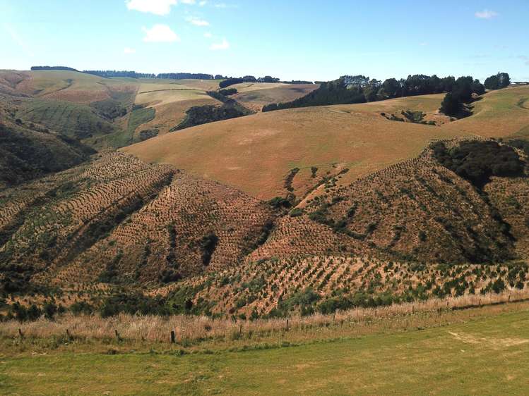 890 Mount Stuart Road Balclutha_12