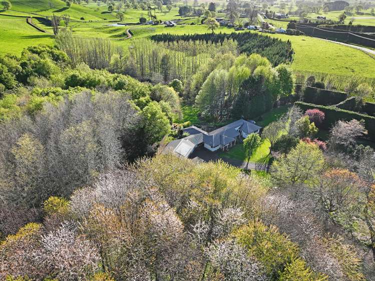 149 Frontier Road Te Awamutu_7