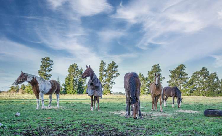 211 Inglis Road Okuku_14