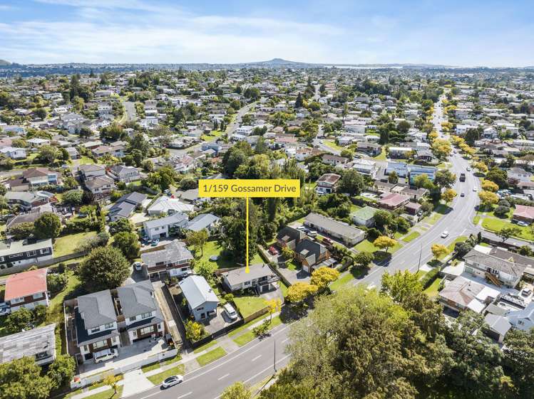 1/159 Gossamer Drive Pakuranga Heights_22