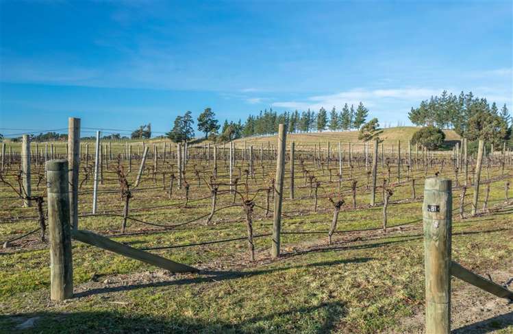 5468 State Highway 1 Seddon_18