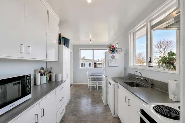 65 George Street Tinwald_1