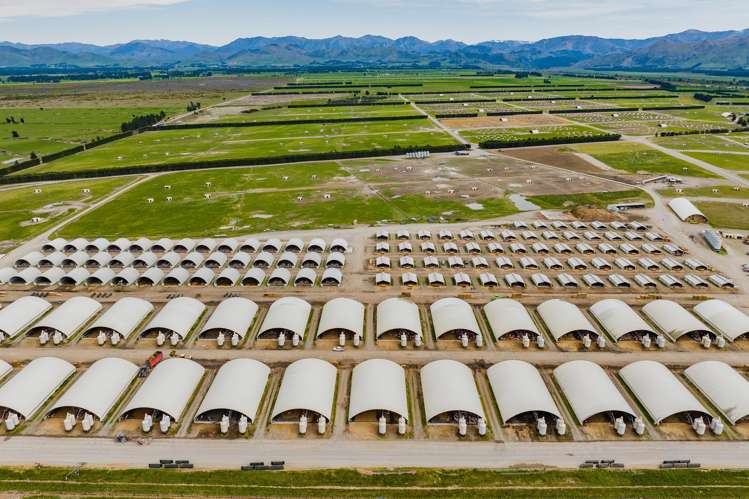 724 Medbury Road Hawarden_3