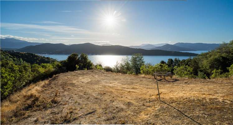238B Port Underwood Road_5
