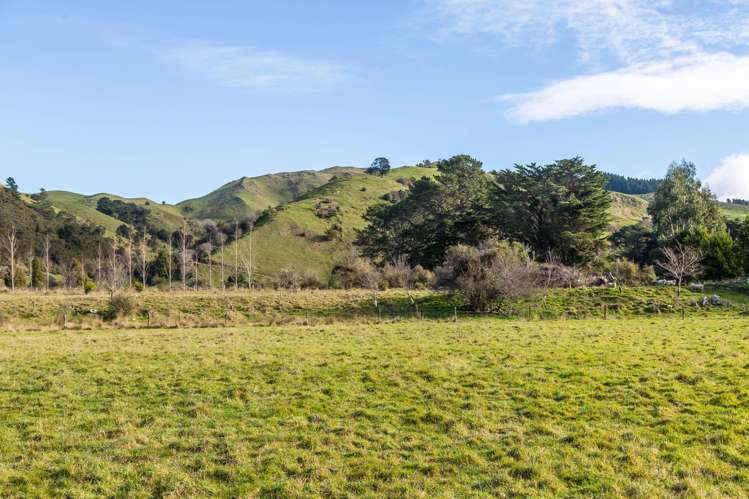 803 Norfolk Road Carterton_10