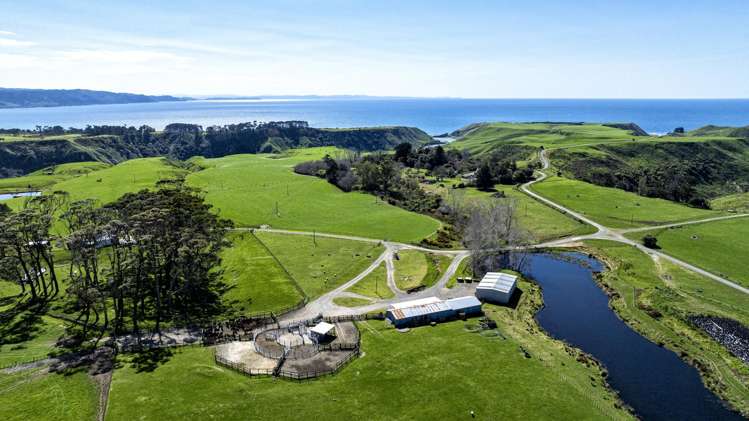 790 Mahia East Coast Road Māhia_8