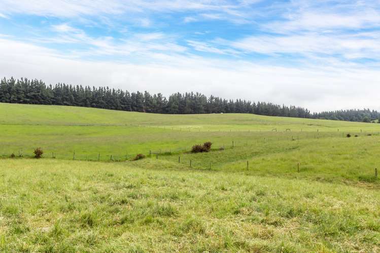 Steeles Road Hororata_13