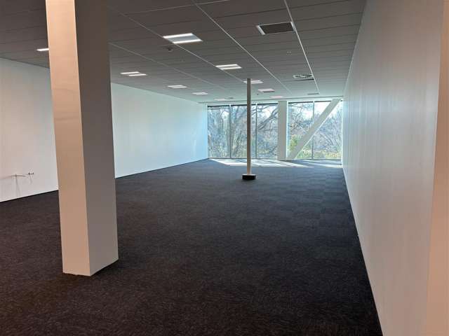 Tenancy A2, GF 17 Grantham Street Hamilton Central_1