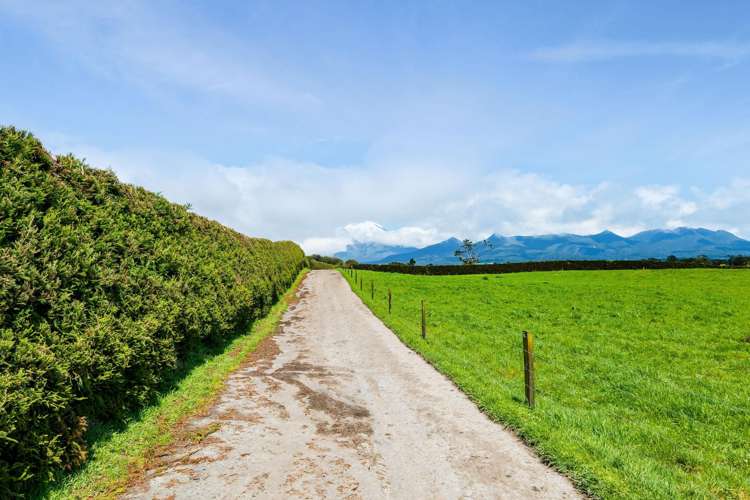 539 Kent Road Korito_25