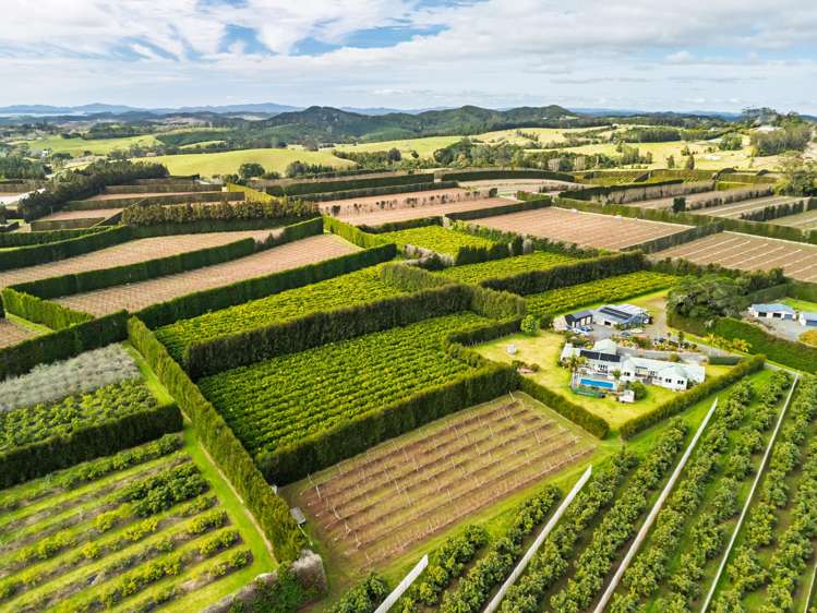 581D Kerikeri Road Kerikeri_12