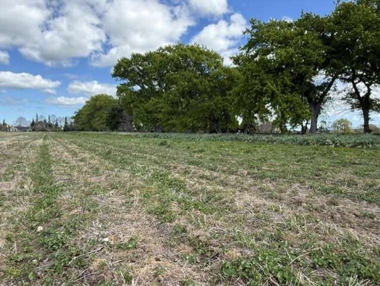 473 Bruntwood Road Tamahere_8