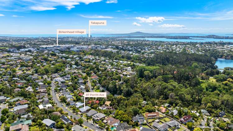 87 Porritt Avenue Chatswood_12