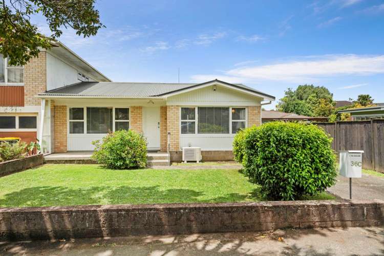 36c Matai Road Greenlane_10