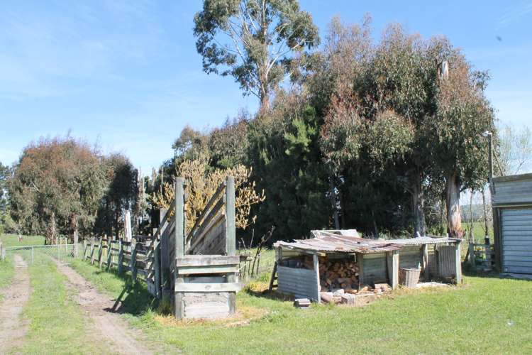 47 Munro Road Cheviot_18