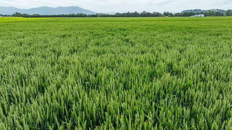 190 Bennetts Road Cust_15