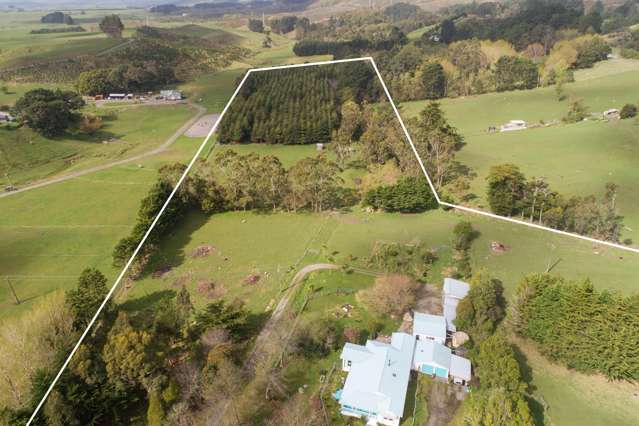 259 Kahuterawa Road Linton_2