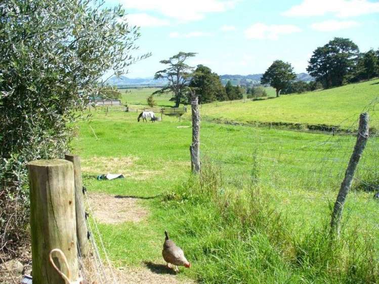 150 Jordan Valley Road Hikurangi_16