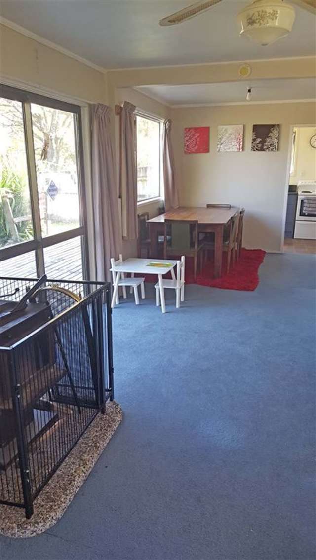 8b Hikutaia Street Te Aroha_3