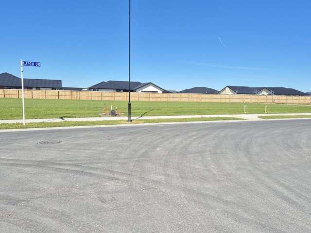 7 Larch Drive Rolleston_3