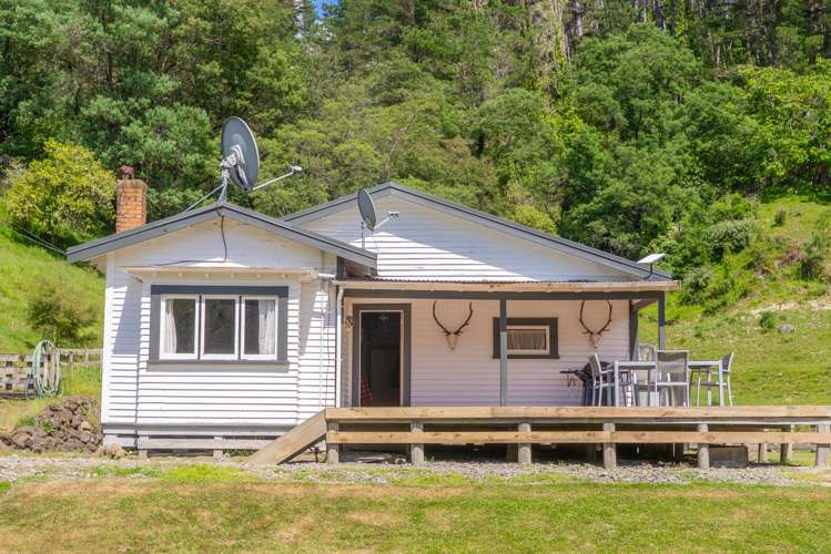 115A West Ho Road Tauwhareparae_5