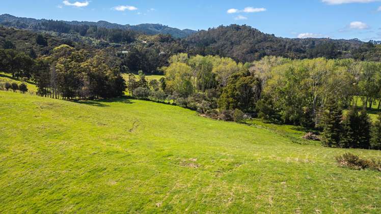 1 Albert Street Coromandel_3