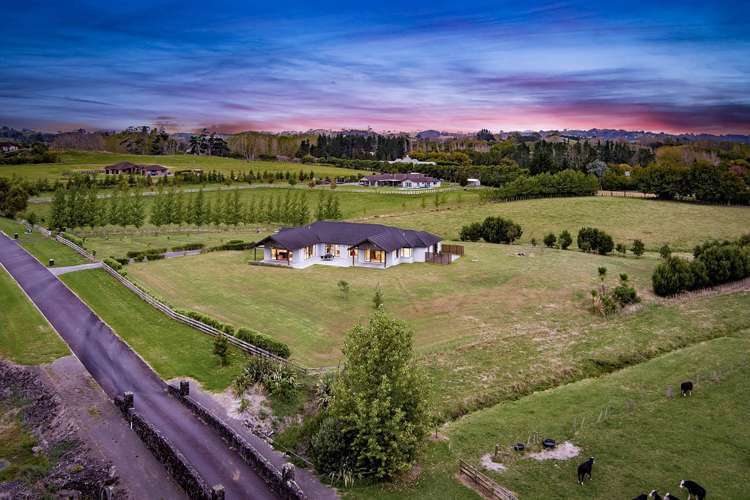 166J Postman Road Dairy Flat_6