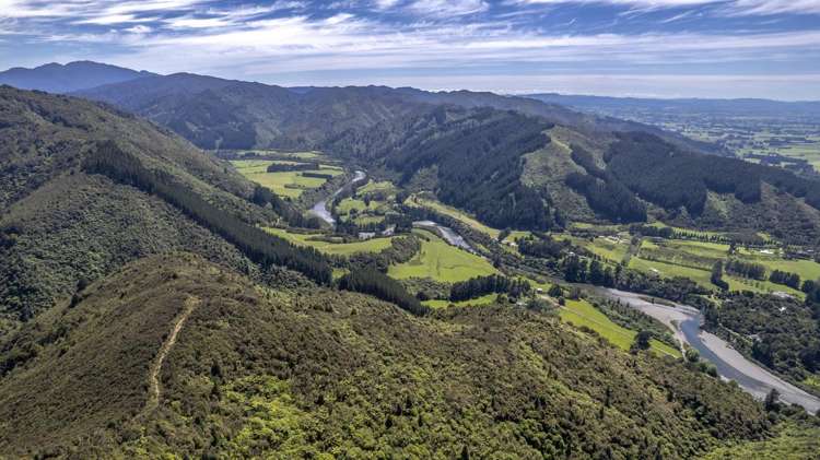 267 Waiohine Valley Road Greytown_18