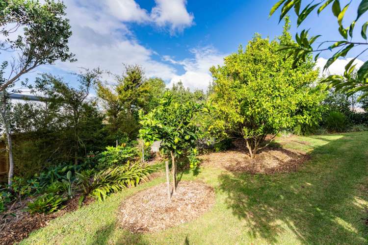 7 Ngaio Close Mangawhai_26