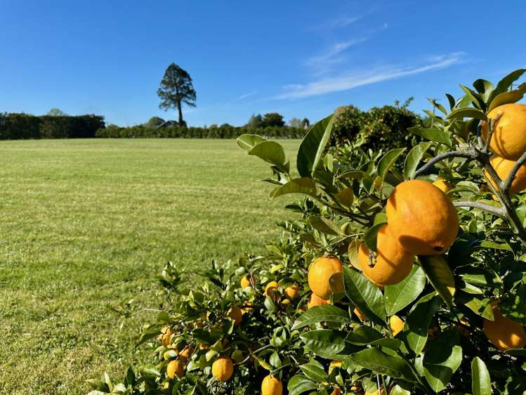 Lots 2, 3 & 4 Toru Street Makaraka_14