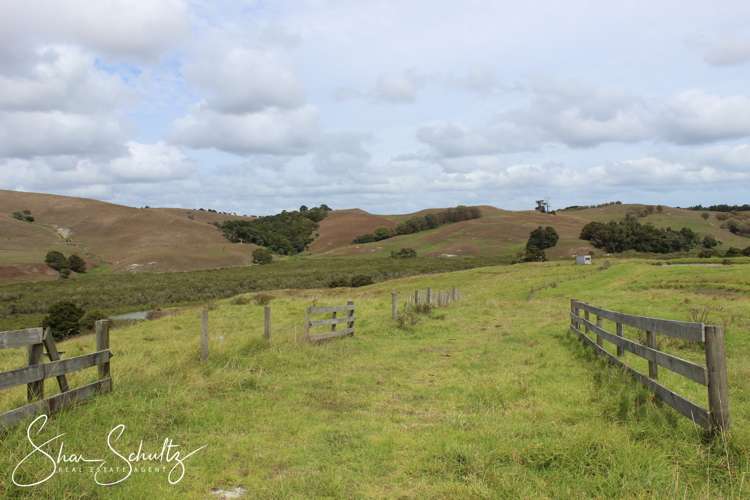 215c Heatley Road Whakapirau_11