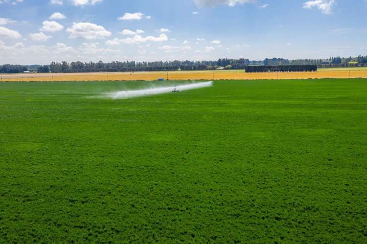 Selwyn Lake Road Leeston_11