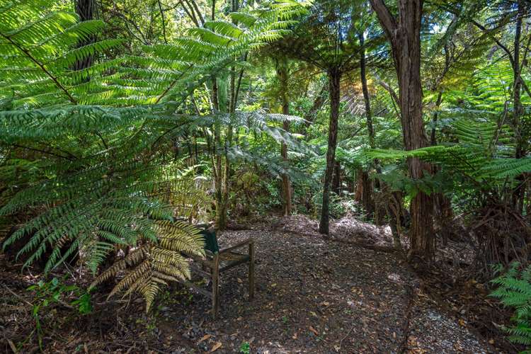 134i Rangatira Road Beach Haven_24