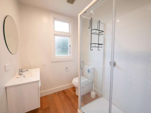 135 Lynn Street Wakari_4