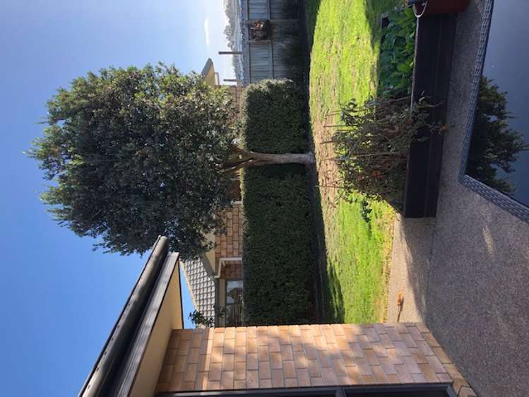 36 Greig Place Pukekohe_15