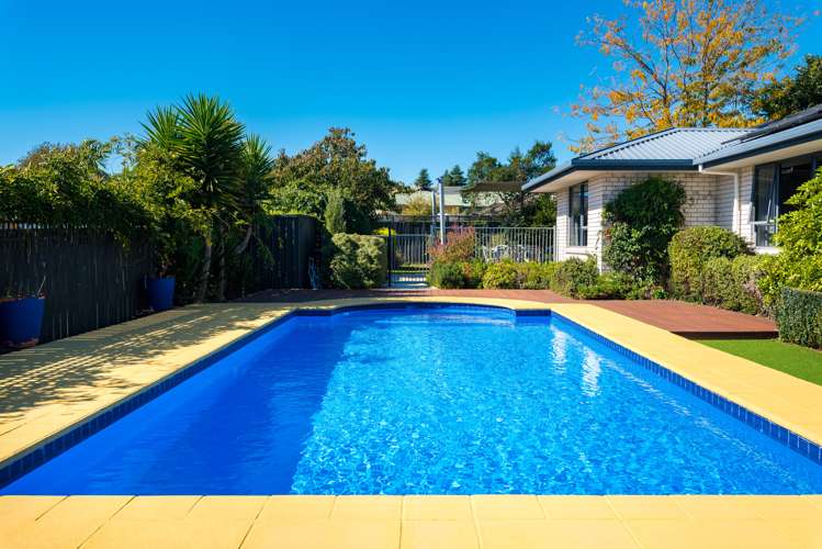 41 Hillcrest Avenue Witherlea_18