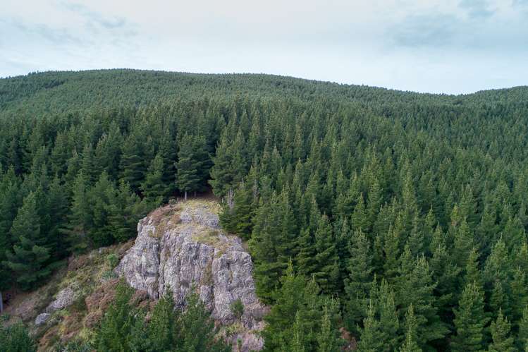 569 Mcqueens Valley Road Gebbies Valley_11