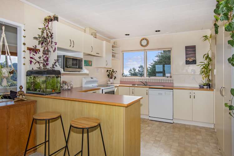 370 Vinegar Hill Road Kauri_17