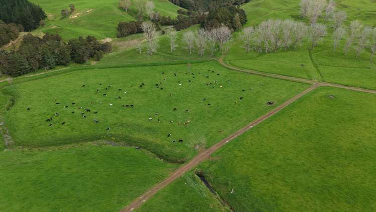 3675 Mangakahia Road Pakotai_18