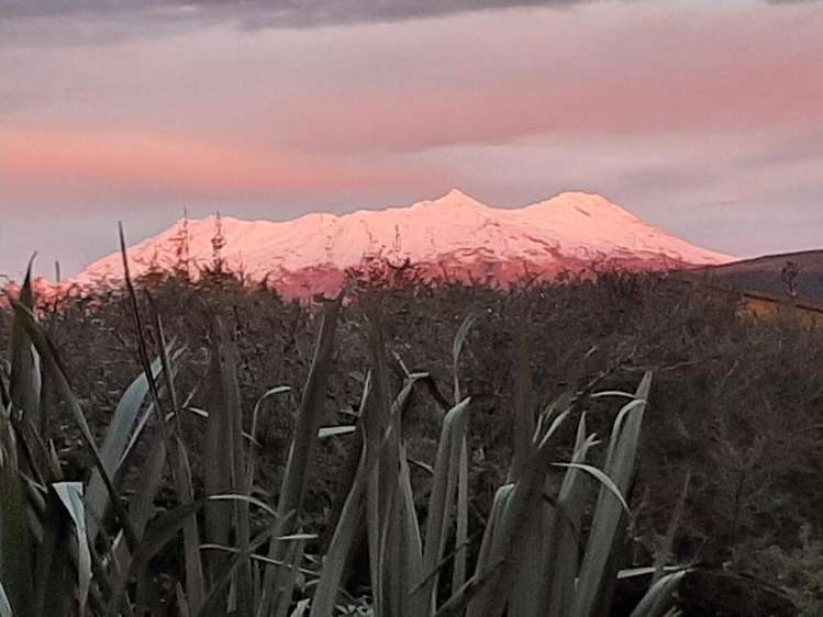 7B Kirk Street National Park_21