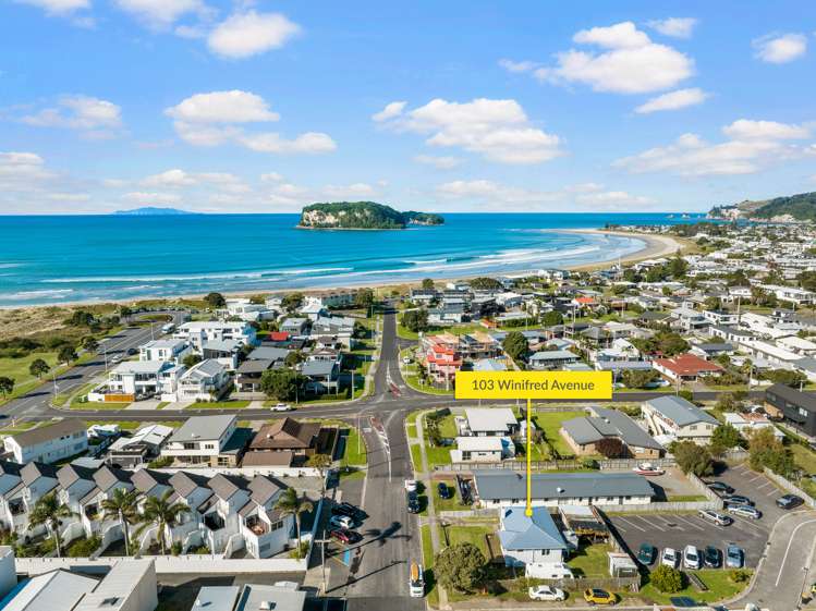 103 Winifred Avenue Whangamata_10