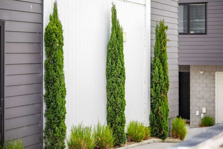 1/20 Marama Street_5